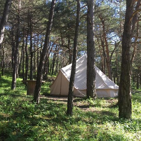 Camping La Chabannerie Hotel Saint-Martin-de-Clelles Luaran gambar