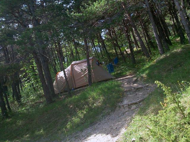 Camping La Chabannerie Hotel Saint-Martin-de-Clelles Luaran gambar